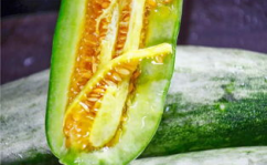 哪种地方可以吃网红瓜呢,探寻各地特色美食打卡地