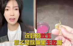 小姐姐连麦小姐姐被骂下播,连麦事件引发网友热议，小姐姐被骂下播引关注
