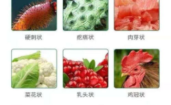 私密菜花状是什么情况,揭秘女性健康隐患