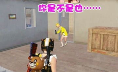 小姐姐上战神,传奇之旅