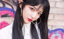 网红的伪娘,网红界的独特魅力解析