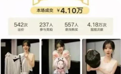私密物拍卖,一场揭秘与竞拍的神秘拍卖会